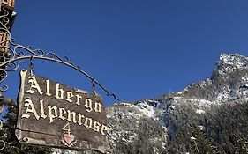 Albergo Alpenrose Ski&Bike Mountain Hotel