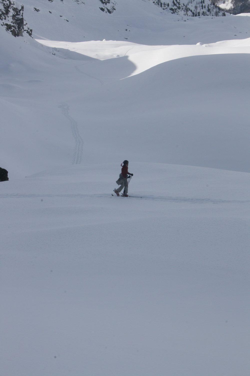 Albergo Alpenrose Ski&Bike Mountain Hotel Gressoney-Saint-Jean Esterno foto