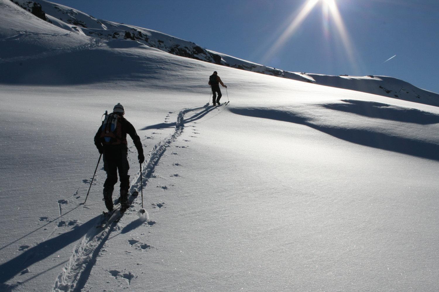 Albergo Alpenrose Ski&Bike Mountain Hotel Gressoney-Saint-Jean Esterno foto