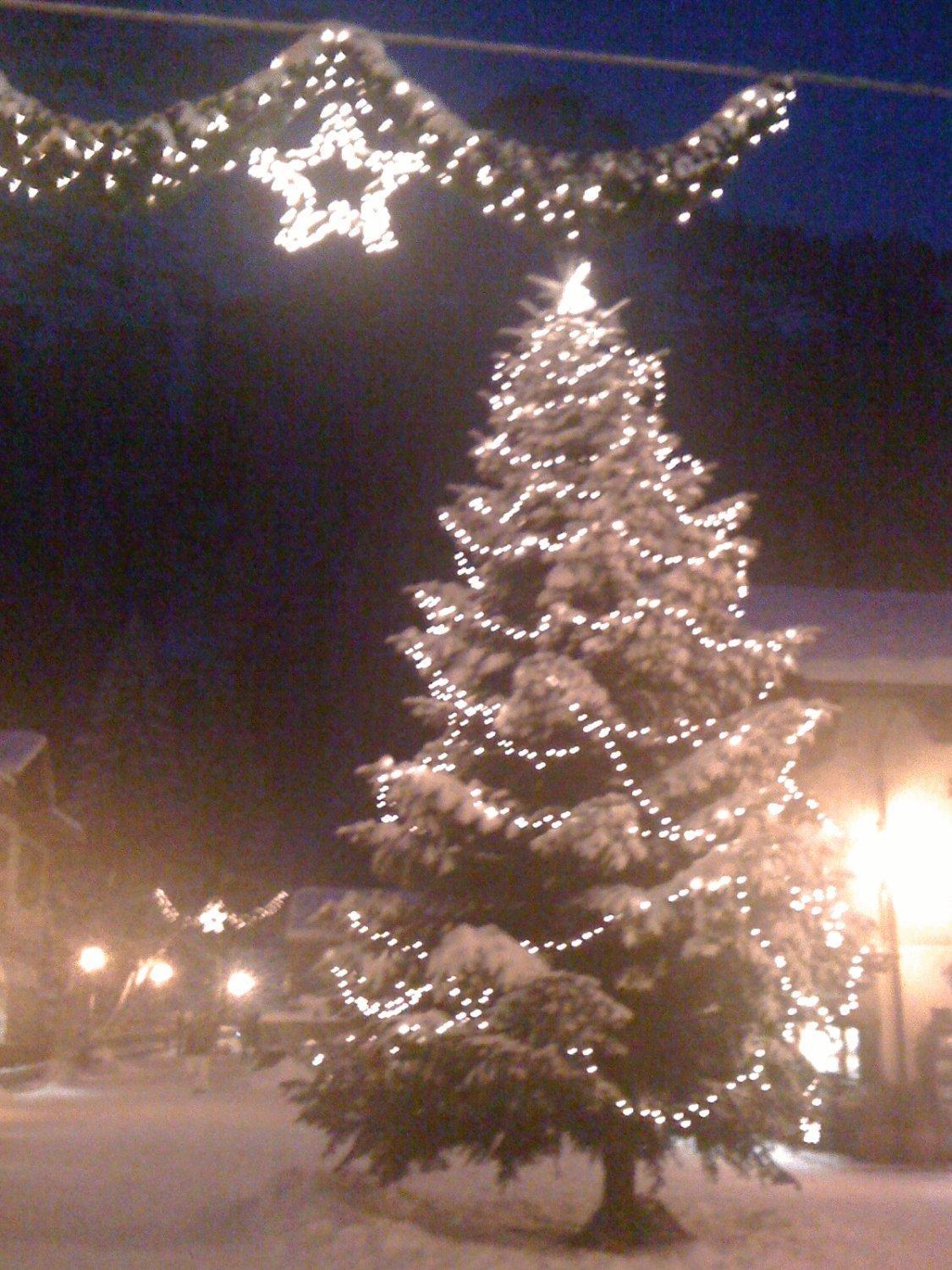 Albergo Alpenrose Ski&Bike Mountain Hotel Gressoney-Saint-Jean Esterno foto