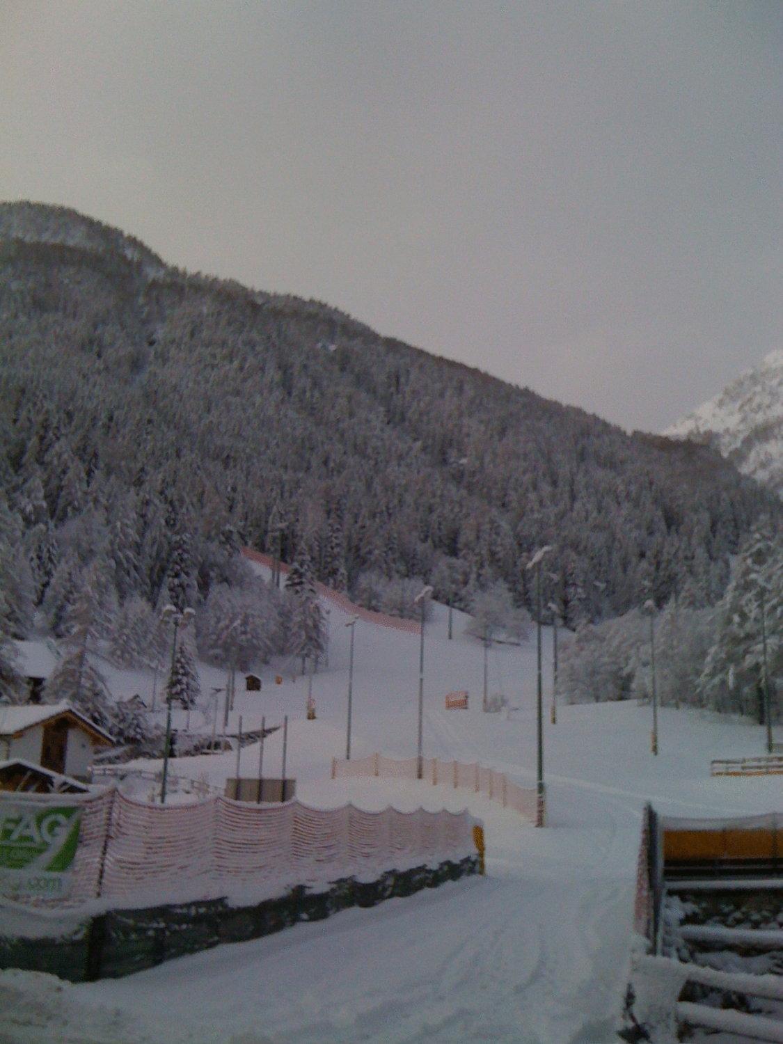 Albergo Alpenrose Ski&Bike Mountain Hotel Gressoney-Saint-Jean Esterno foto