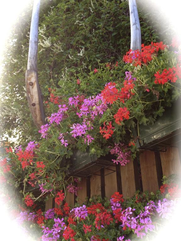 Albergo Alpenrose Ski&Bike Mountain Hotel Gressoney-Saint-Jean Esterno foto