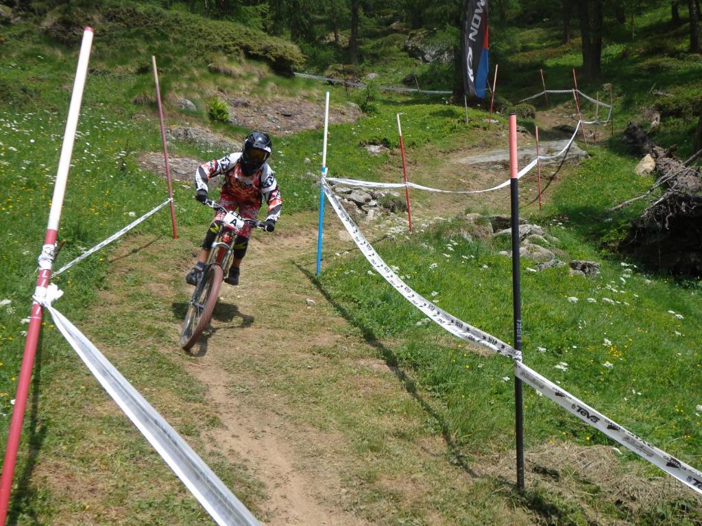Albergo Alpenrose Ski&Bike Mountain Hotel Gressoney-Saint-Jean Esterno foto