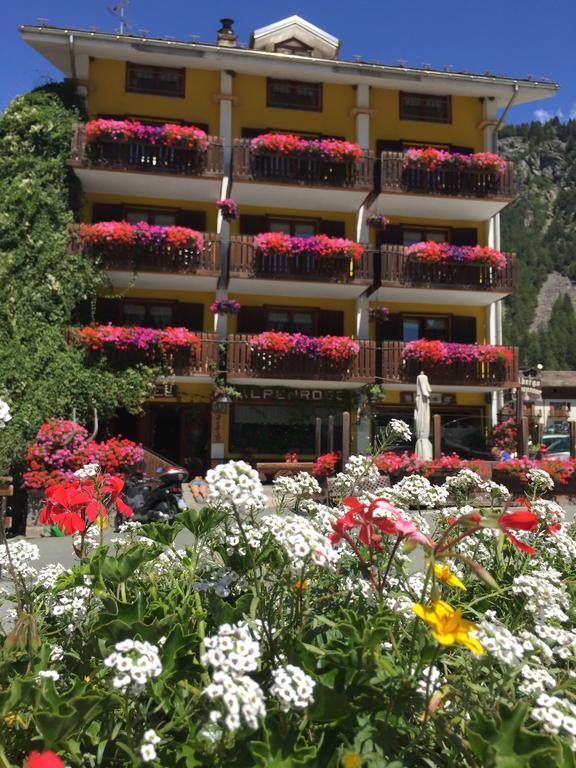 Albergo Alpenrose Ski&Bike Mountain Hotel Gressoney-Saint-Jean Esterno foto