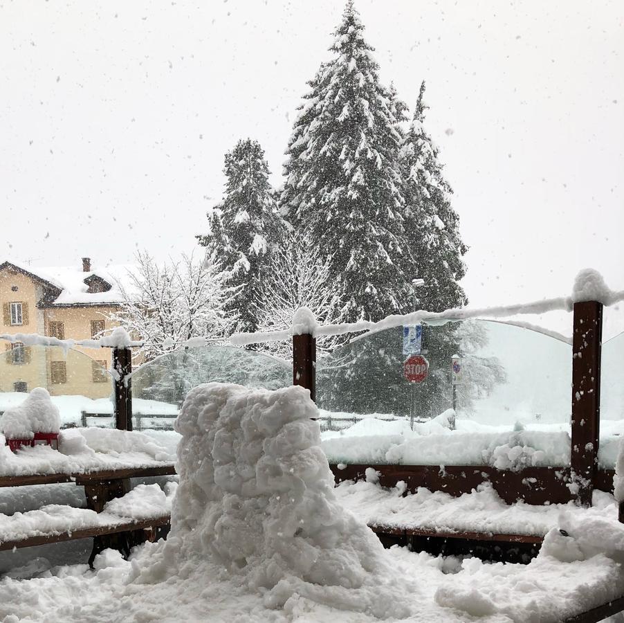 Albergo Alpenrose Ski&Bike Mountain Hotel Gressoney-Saint-Jean Esterno foto