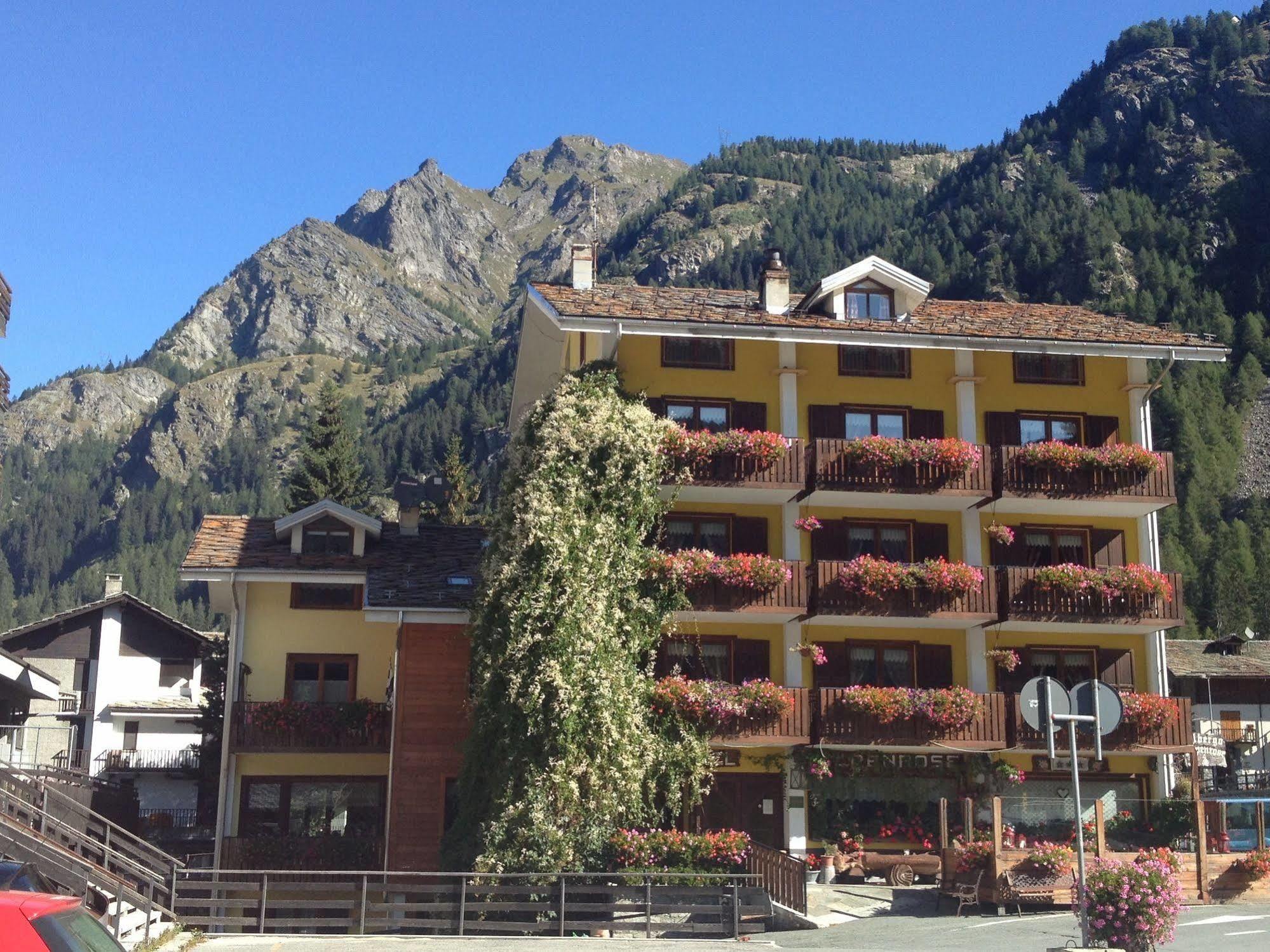 Albergo Alpenrose Ski&Bike Mountain Hotel Gressoney-Saint-Jean Esterno foto