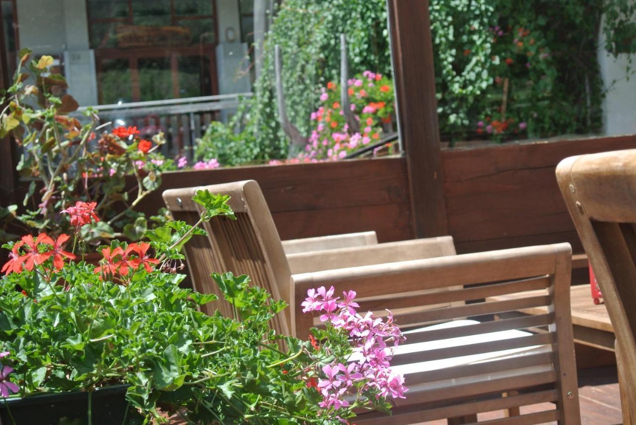 Albergo Alpenrose Ski&Bike Mountain Hotel Gressoney-Saint-Jean Esterno foto