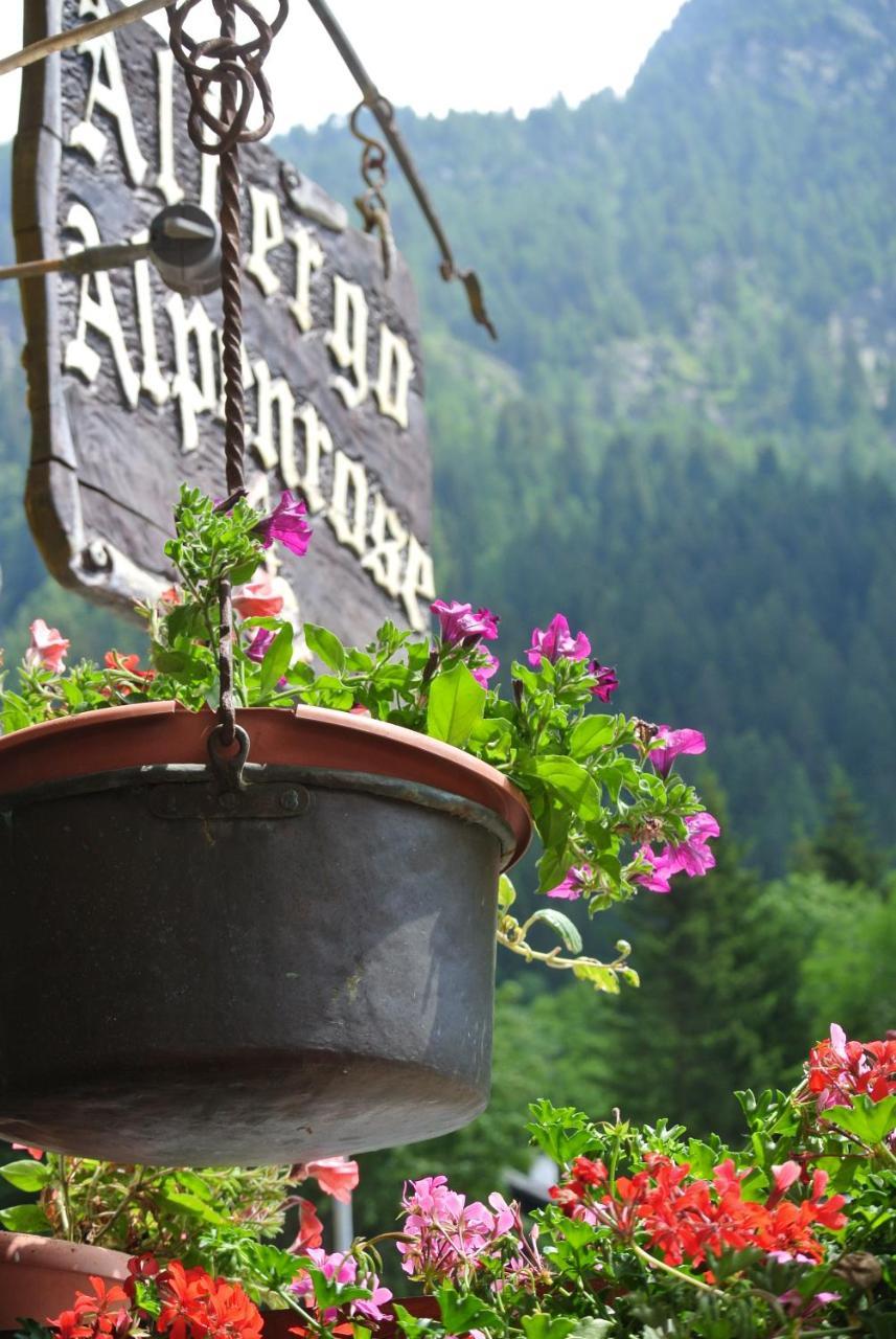 Albergo Alpenrose Ski&Bike Mountain Hotel Gressoney-Saint-Jean Esterno foto