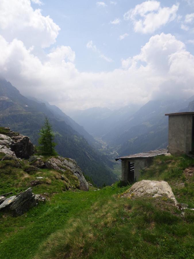 Albergo Alpenrose Ski&Bike Mountain Hotel Gressoney-Saint-Jean Esterno foto